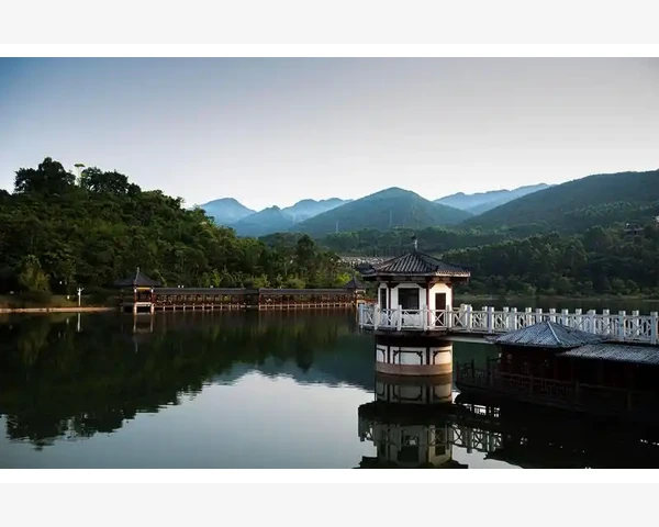 养脾胃肠道偏方，助你健康之道